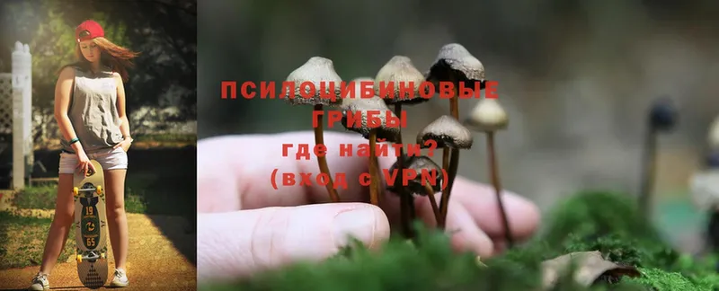 Галлюциногенные грибы MAGIC MUSHROOMS  Людиново 